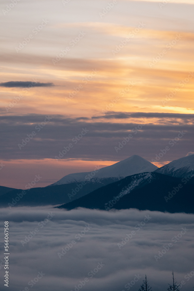 Dragobrat, Ukraine mountain landscape with fog and fir trees