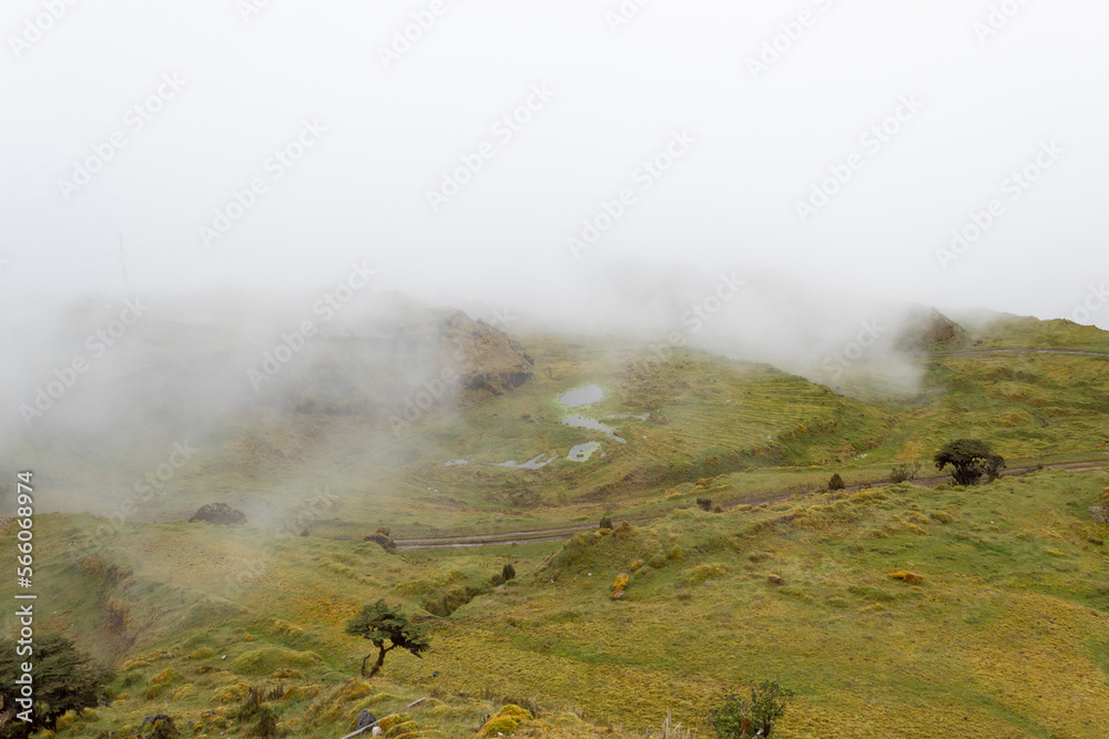 Beautiful colombian paramo ecosystem landscape with fog and swamp 