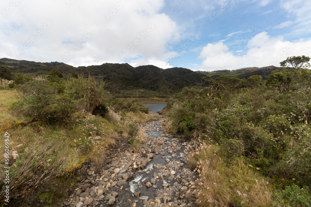 A small creek into colombian chingaza national park in sunny day A small creek into colombian chingaza national park in sunny day