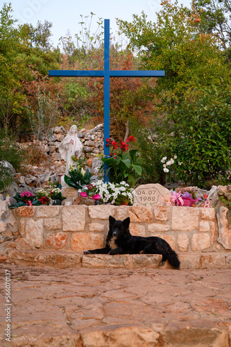 The Blue Cross and a free-ranging dog in Medjugorje, Bosnia and Herzegovina. A free-ranging dog pictured is a common sight. 2021/08/29.	 photo