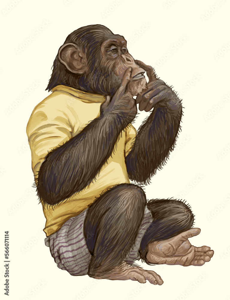 Chimpanzee sign language deaf and dumb clever serious smart primate