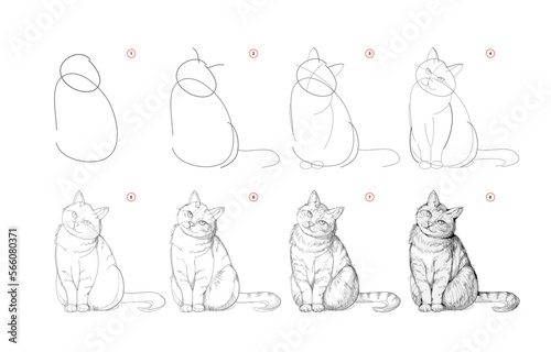 Page shows how to learn to draw sketch of cute cat. Pencil drawing lessons. Educational page for artists. Textbook for developing artistic skills. Online education. Vector illustration. photo