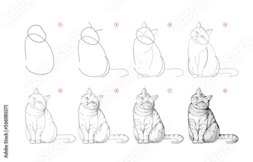 Page shows how to learn to draw sketch of cute cat. Pencil drawing lessons. Educational page for artists. Textbook for developing artistic skills. Online education. Vector illustration.