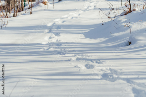 snow path foot steps 