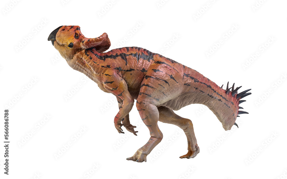 Naklejka premium Protoceratops , dinosaur on isolated background