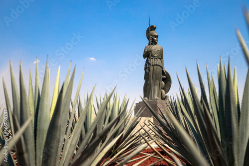 Fotografiet Guadalajara, Jalisco, con su monumento representativo de la minerva