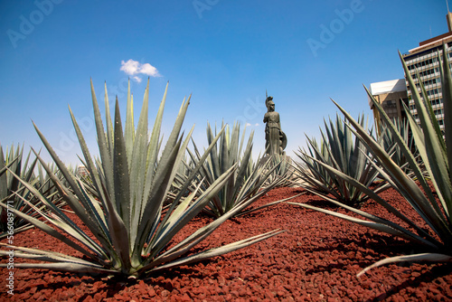 Canvas Print Guadalajara, Jalisco, con su monumento representativo de la minerva