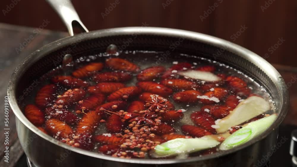 Cooking process of boiled cocoons and chrysalis, a special delicacy in Northeast China Cooking process of boiled cocoons and chrysalis, a special delicacy in Northeast China