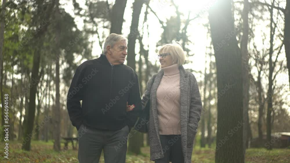Romantic senior couple holding hands, walking and talking together in the autumn forest, slow motion Romantic senior couple holding hands, walking and talking together in the autumn forest, slow motion