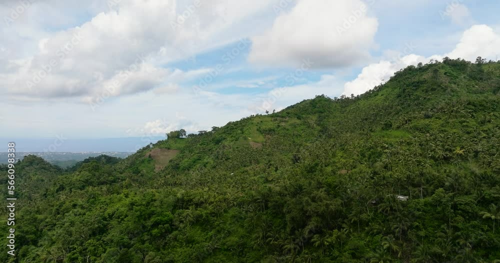 Green forest and jungle on the slopes of the mountains. Negros, Philippines Green forest and jungle on the slopes of the mountains. Negros, Philippines
