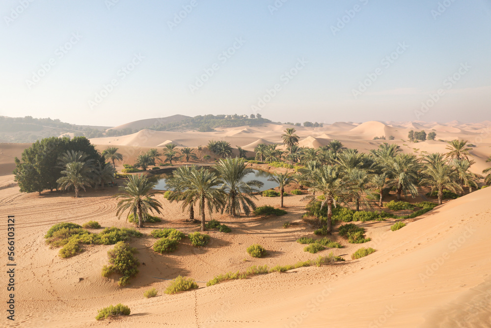Aerial view of a Oasis in desert, UAE