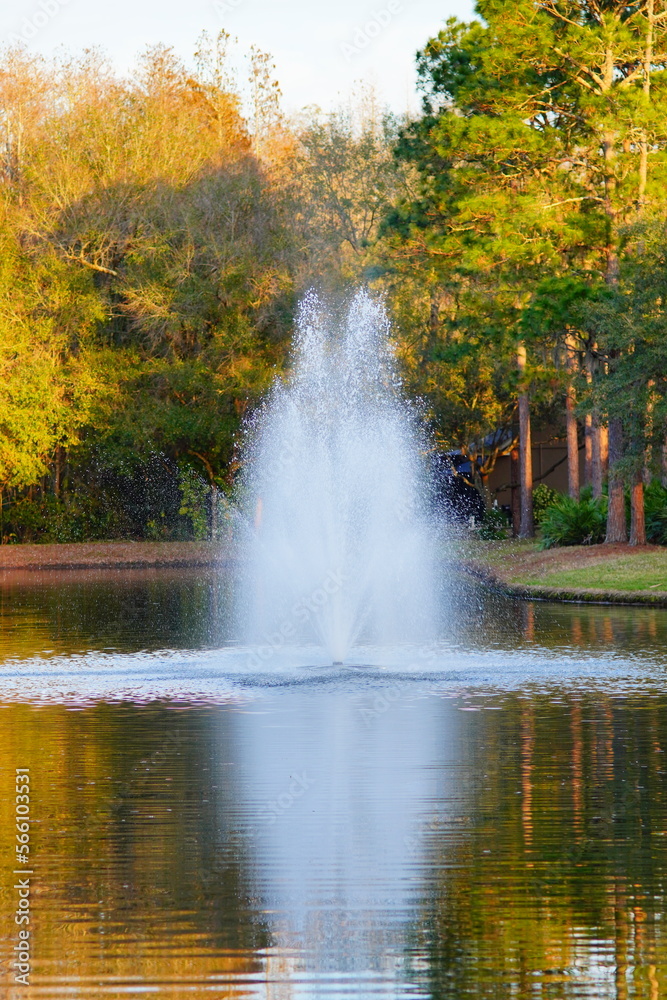 A beautiful community pond or lake A beautiful community pond or lake