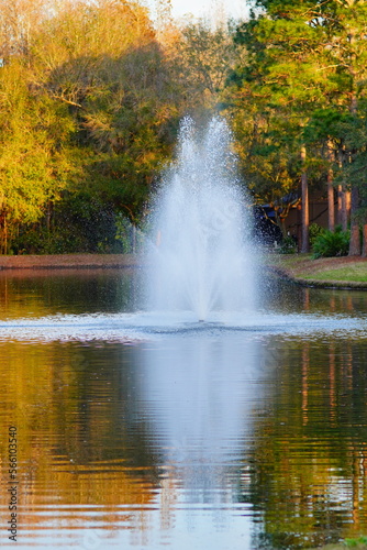 The winter pond landscape of Tampa Palms area in Florida