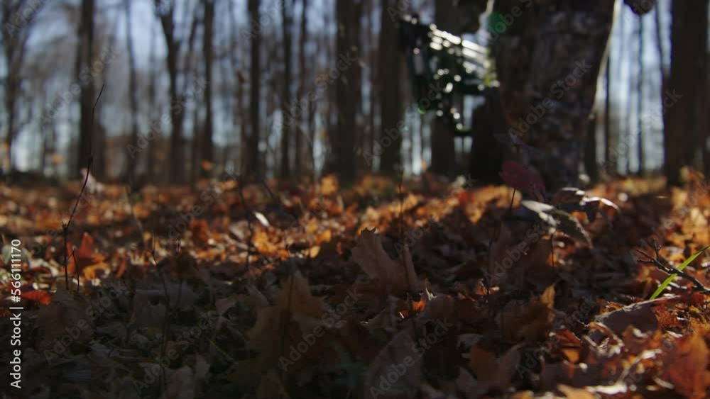 Bow Hunter Walks Through Woods During Hunting Season Bow Hunter Walks Through Woods During Hunting Season