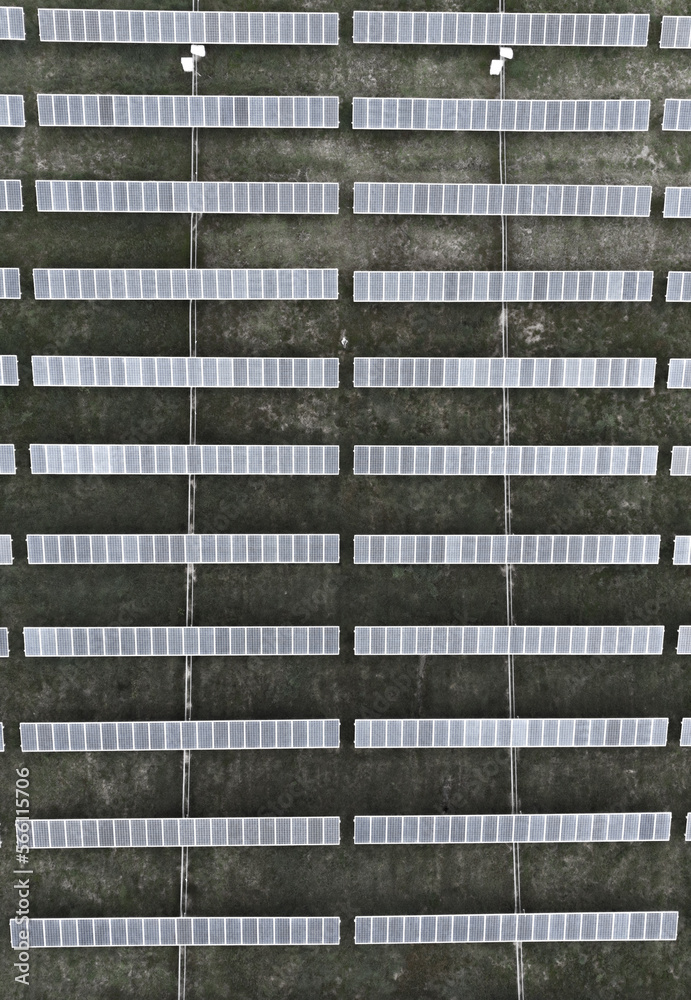 Obraz premium looking down on solar panels in vertical view