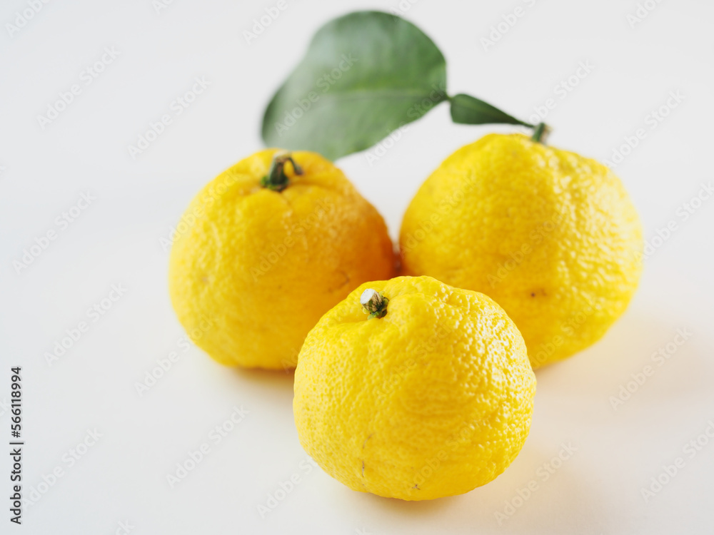 3つの黄色い柚子の実