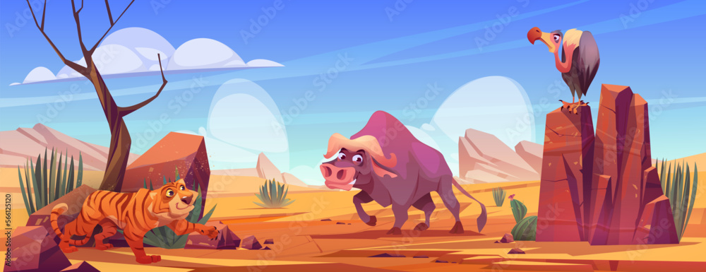 Fototapeta premium Cartoon African wild animals on savannah background. Vector illustration of tiger hunting, griffon sitting on rocky stone and buffalo in natural environment or safari park. Exotic zoo inhabitants