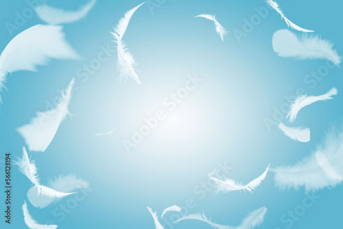 Abstract Group of White Bird Feathers Flying in The Sky