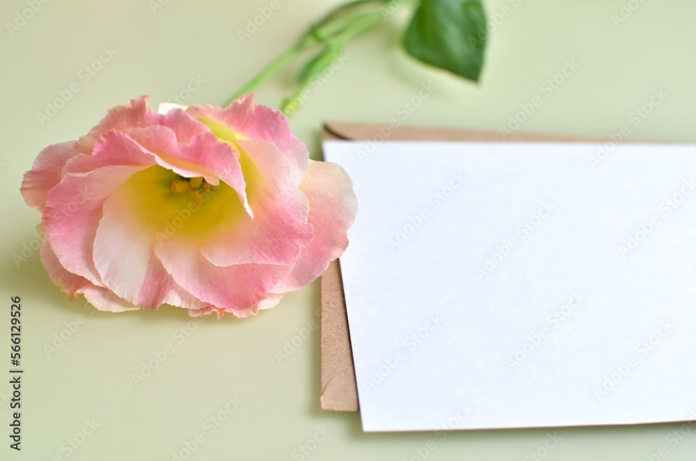 Fototapeta premium A branch of eustoma flower and a letter lies on the table