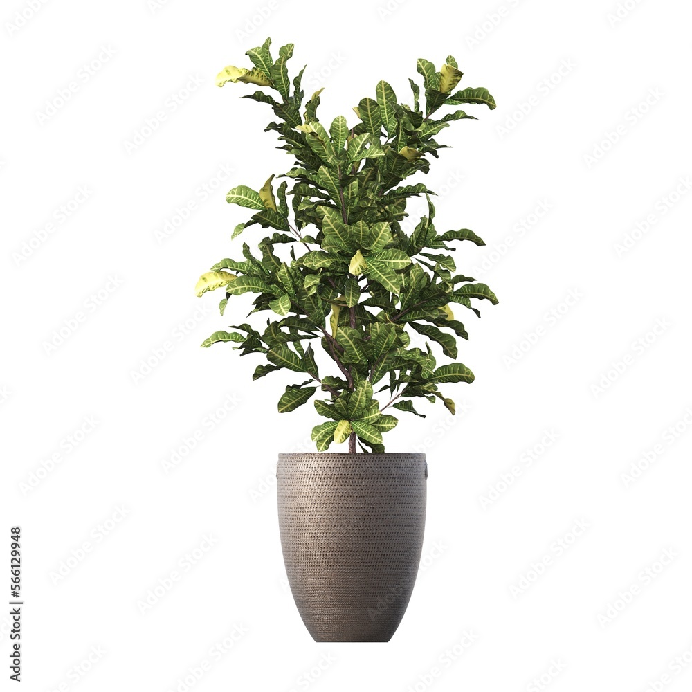 Fototapeta premium decorative flowers and plants for the interior, isolated on white background, 3D illustration, cg render