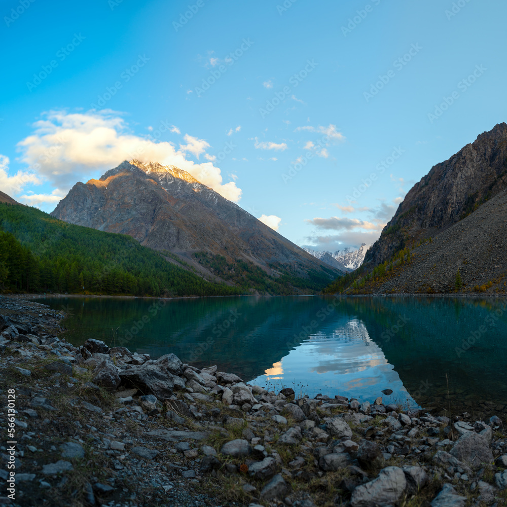 Shore with clear water of Lake Shavlinskoe with stones and dry autumn grass in Altai against the backdrop of mountains with snow and glaciers in the evening in the dusk of the forest.