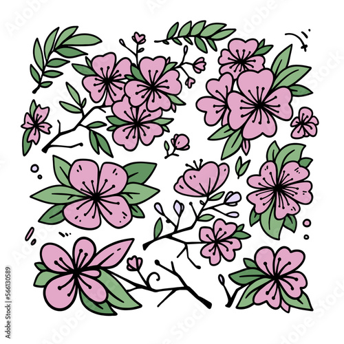 Vector illustration of Cherry Blossom doodle art