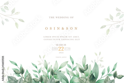 Elegant Watercolor Green Leaves Background 