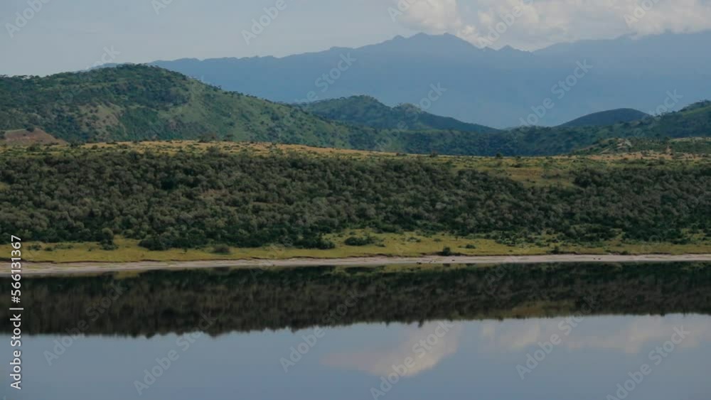 Lush African hillside view reflected over dam; daylight tilt up Lush African hillside view reflected over dam; daylight tilt up