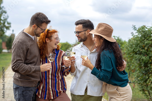 Group of four friends standing in vineyard with glasses of vine in hands, talk to each other and smile