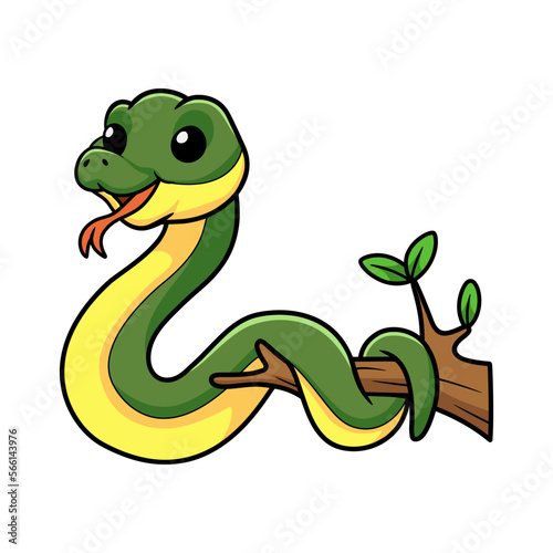 Cute easten racer snake cartoon on tree branch © frescostudio