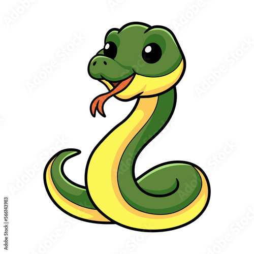 Cute easten racer snake cartoon photo