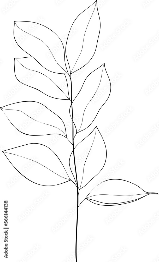 Hand drawn botanical leaf branch line art