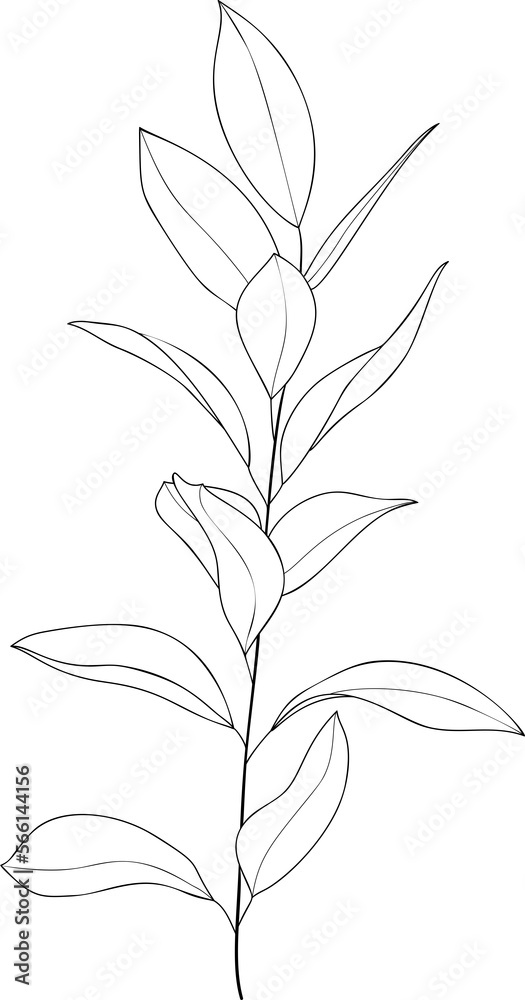 Hand drawn botanical leaf branch line art Hand drawn botanical leaf branch line art