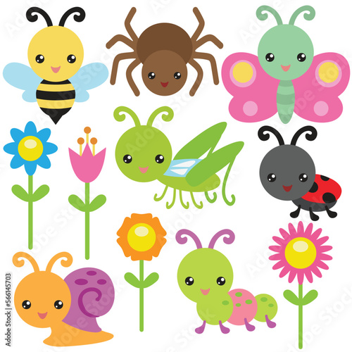 Cute insect vector cartoon illustration © primus44