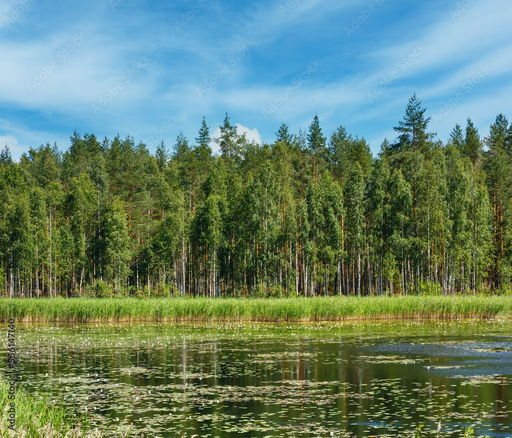 Lake Ruotsalainen summer view with water lilys on surface (near Hevossaari, Finland). Lake Ruotsalainen summer view with water lilys on surface (near Hevossaari, Finland).