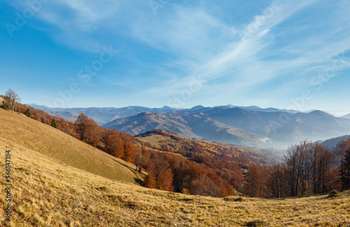Autumn Carpathian mountain landscape with colorful trees on slope and light haze.