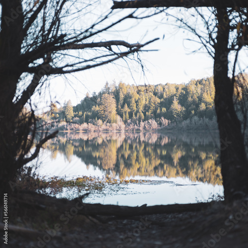 Reflective water