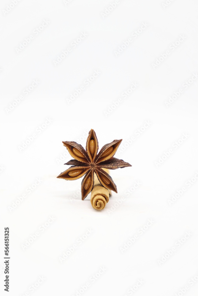 Cinnamon stick and anise on white background Cinnamon stick and anise on white background