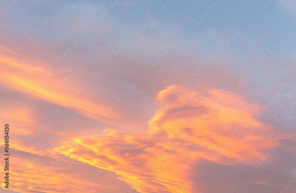 Fototapeta premium Dramatic cumulus clouds on sunny day at sunset painted in gold with sun. Atmosphere multicolor background or wallpaper
