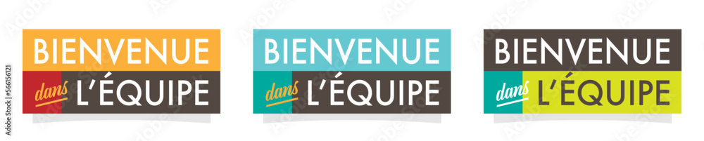 Bienvenue dans l'équipe Bienvenue dans l'équipe