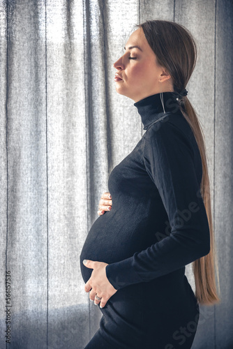 Attractive pregnant woman in the interior of the room near the window.