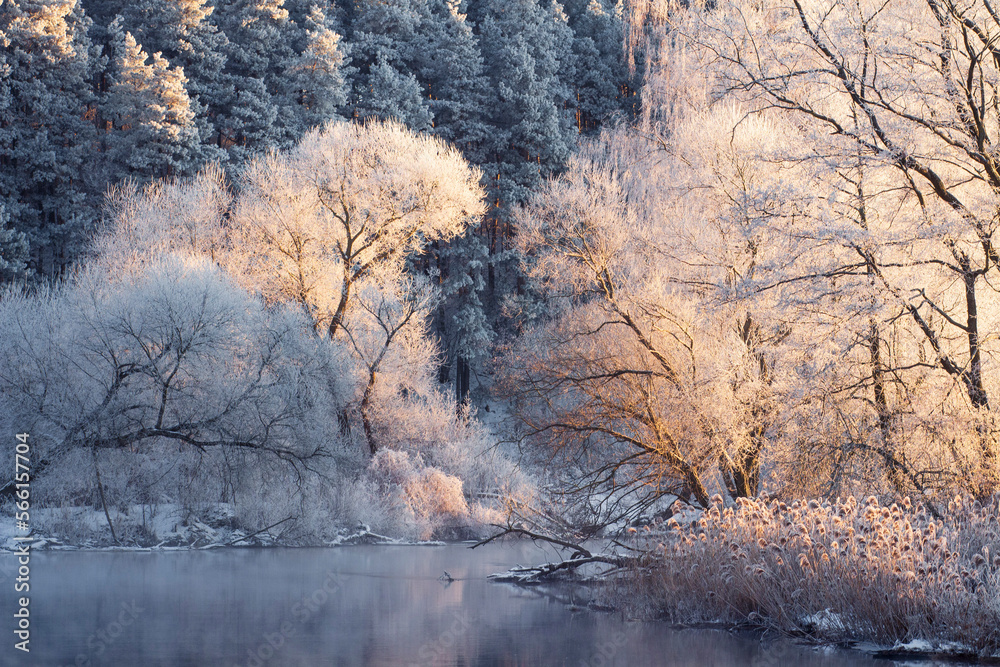 Beautiful landscape of sunrise in spring. The trees and dry grass near river covered hoarfrost. View of forest edge from river.