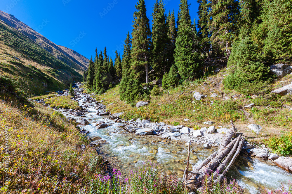 Aleshkin bridge in the Almarasan gorge in the foothills of the city of Almaty