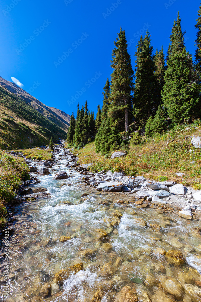 Mountain river in Almarasan gorge near Alyoshkin bridge