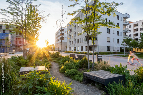 Germany, Bavaria, Munich, Benches in residential garden at sunset