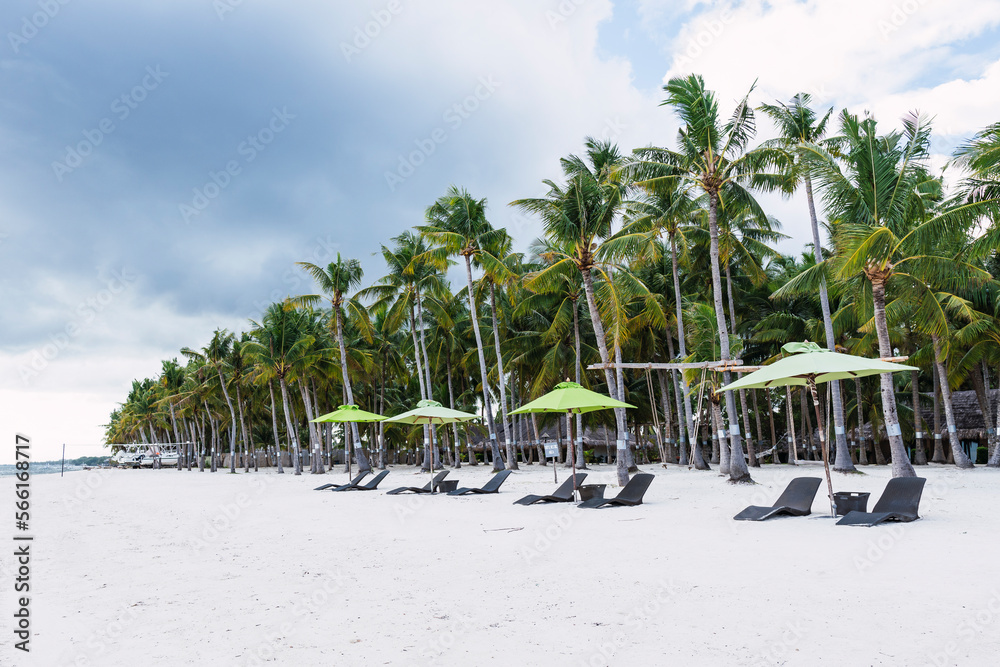 Lounge chairs with umbrella in front of palm trees at beach, Bohol