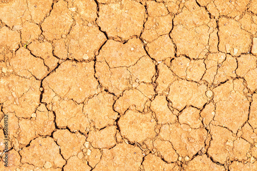 Cracked dry ground in drought photo
