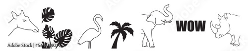 Photography Collection of minimalistic simple linear silhouettes of wild animals (giraffe, elephant, rhinoceros and flamingo) and monstera and palm leaves in monochrome colors