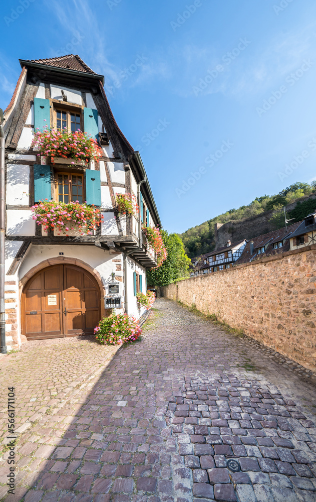 Fototapeta premium Half-timbered houses in Kaysersberg, Alsace, France