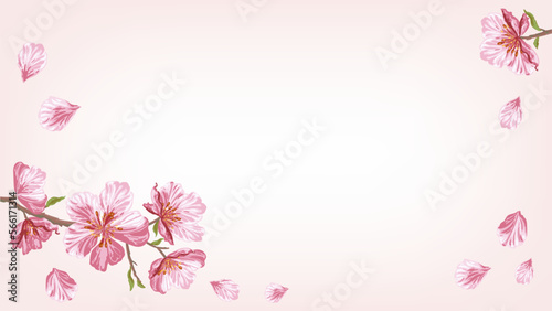 Pink sakura flying petals background © Julia